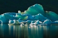 Floating Iceberg At Mendenhall Glacier