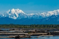 Mt. Foraker, Mt. Hunter And Mt. Denali (Left To Right)