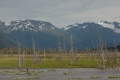 On The Road To Talkeetna