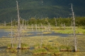 On The Road To Talkeetna