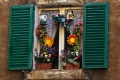 Window In Siena