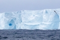 Block Iceberg